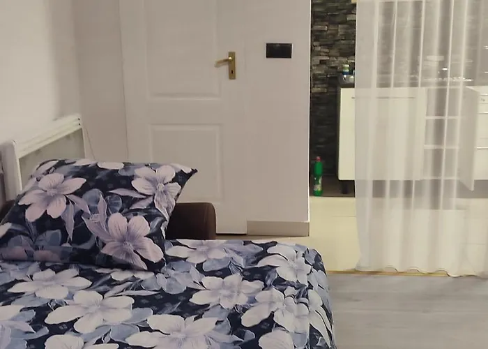 Blue House 2 アパート